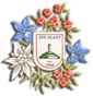 esv-logo